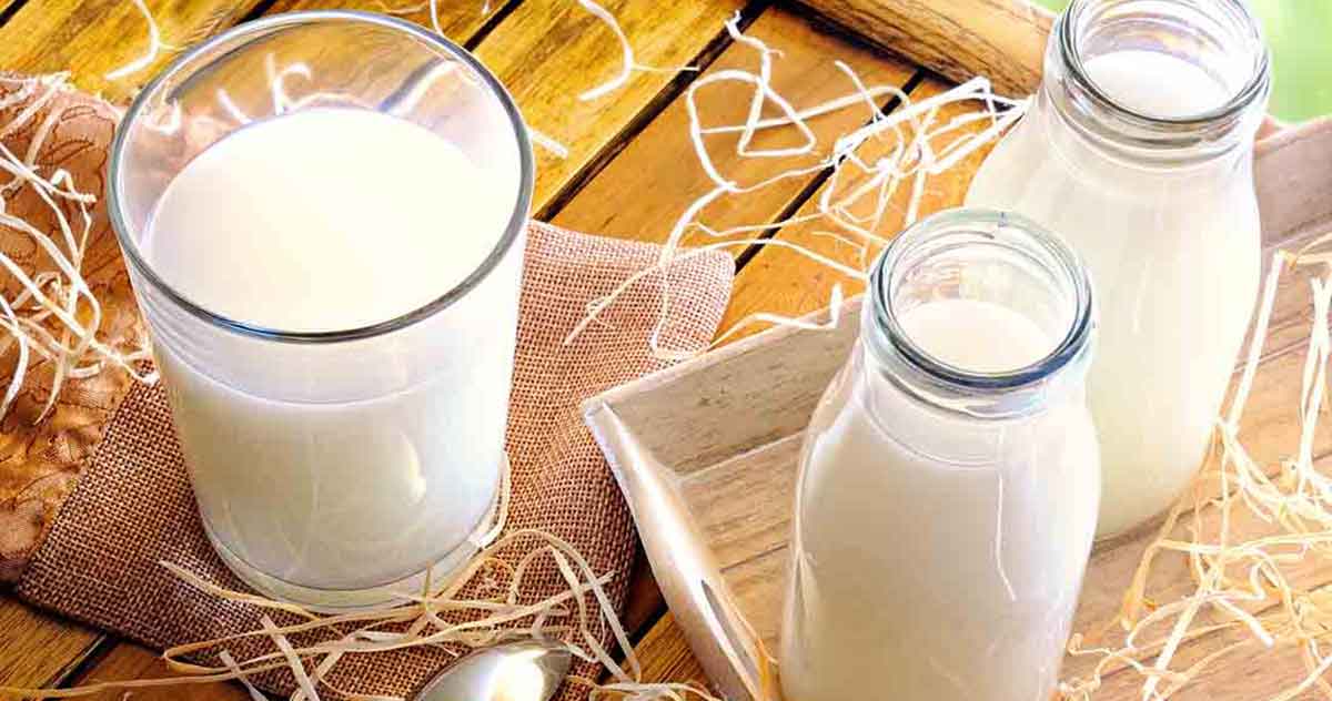 benefits of whole milk vs skim milk benefits of whole milk vs skim milk