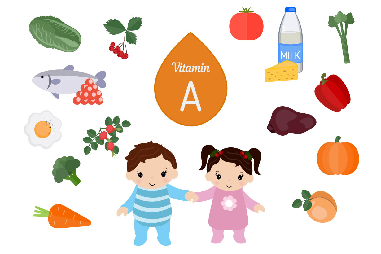 List of foods rich in vitamin and provitamin A List of foods rich in vitamin and provitamin A
