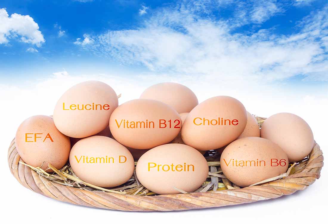 Foods Which Contain Choline Foods Which Contain Choline