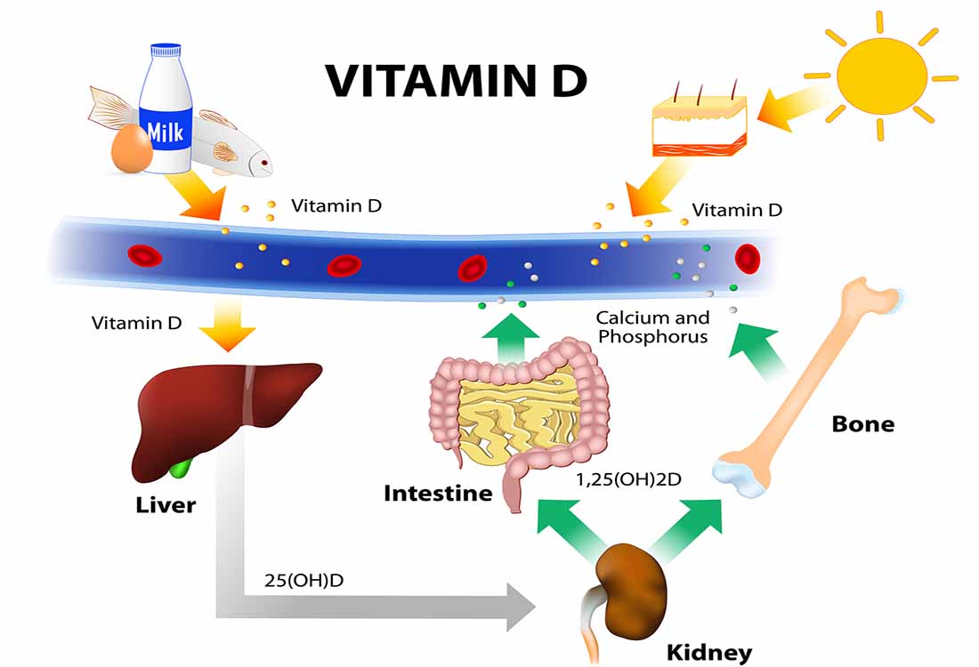 5 Amazing Health Benefits of Eggs