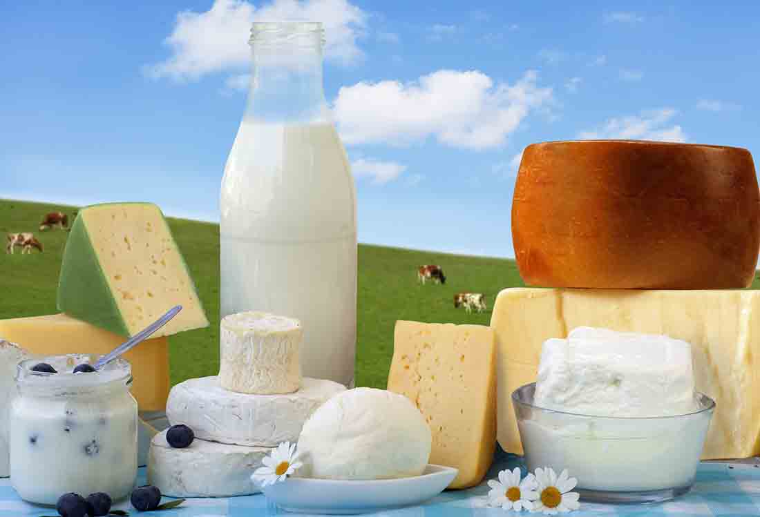 Various Dairy Foods With a Cow Field in the Background.