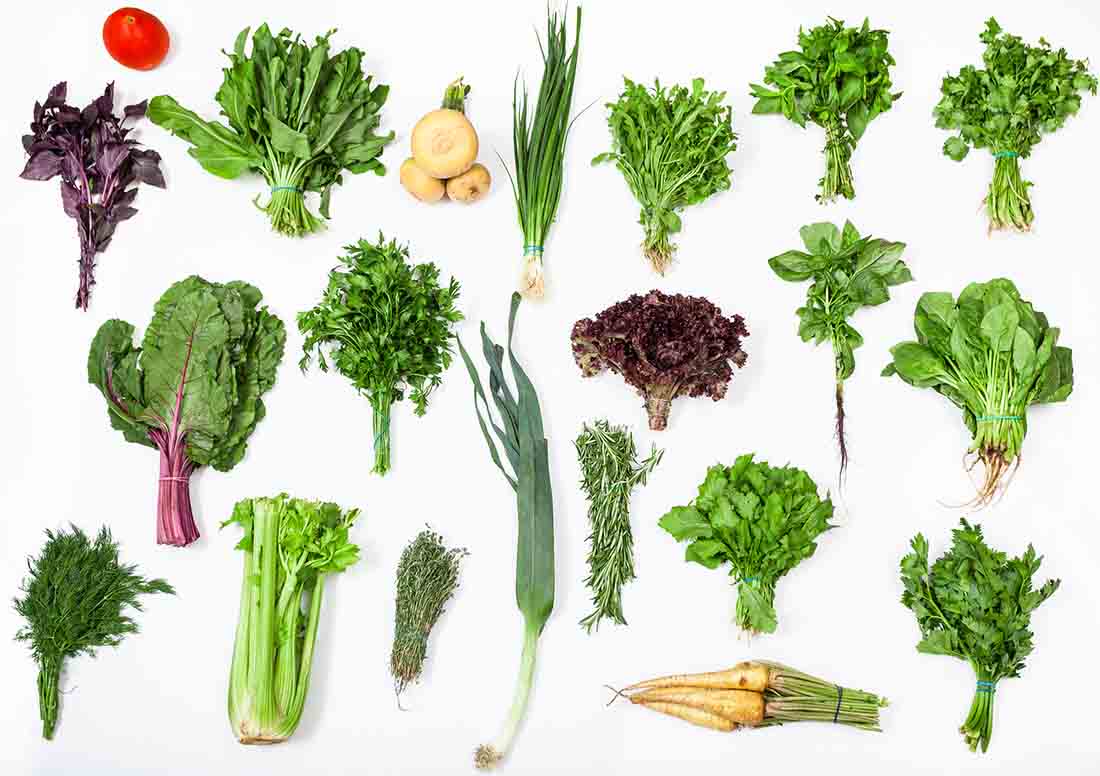 Various Healthy Green Vegetables.