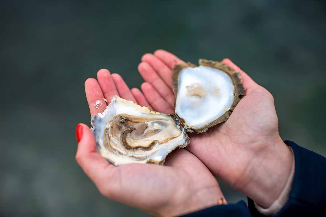 10 Low Carb Foods That Are High in Vitamin D (With Tasty Recipe Ideas)