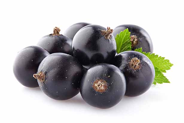 Foods And Drinks With High Antioxidants Foods And Drinks With High Antioxidants