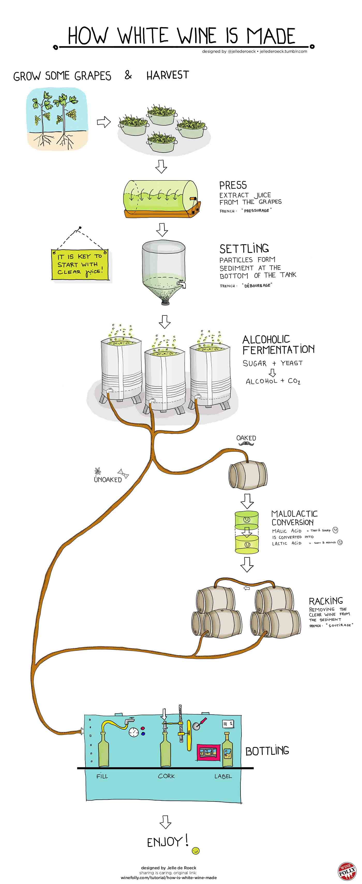 An Infographic Showing the Production Process of How White Wine is Made.