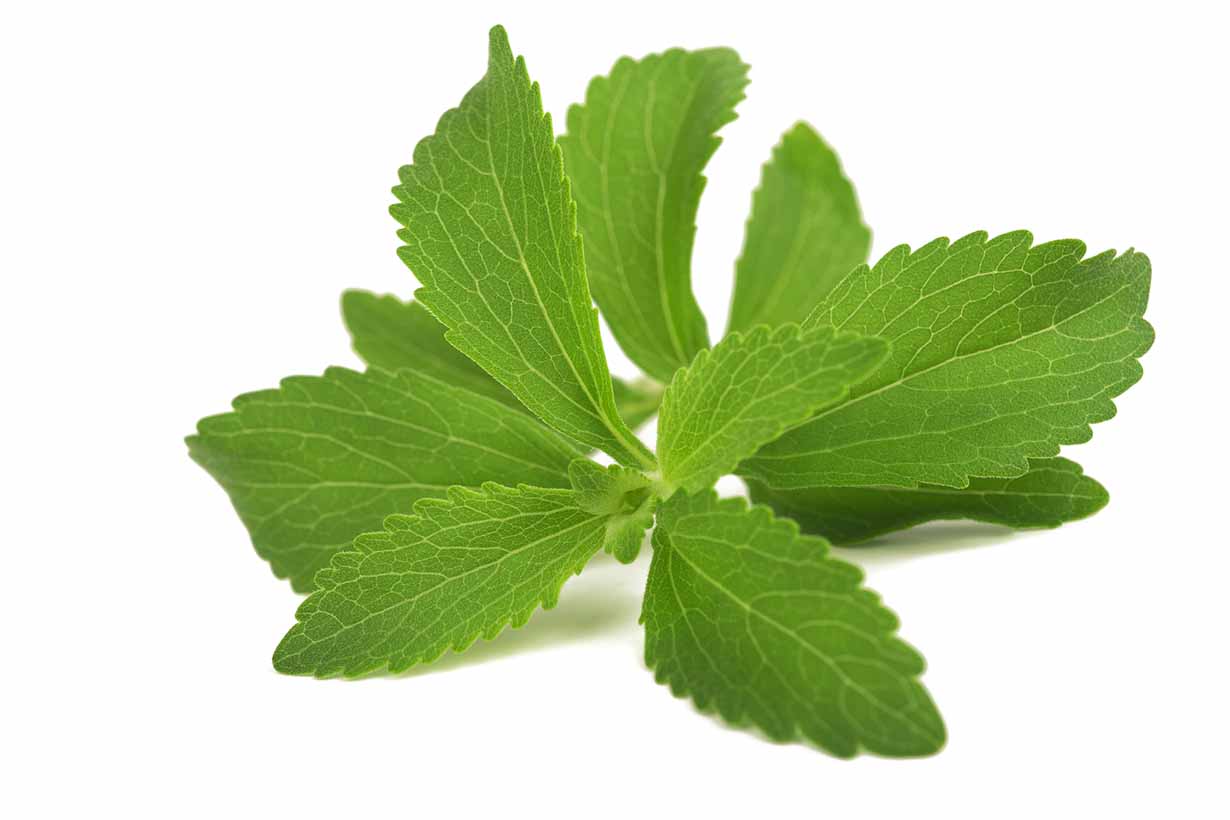 Best Natural Sweetener To Use Best Natural Sweetener To Use