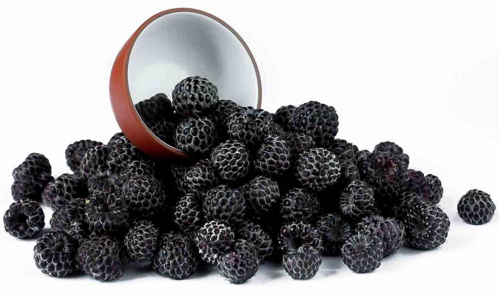 Picture of black raspberries.