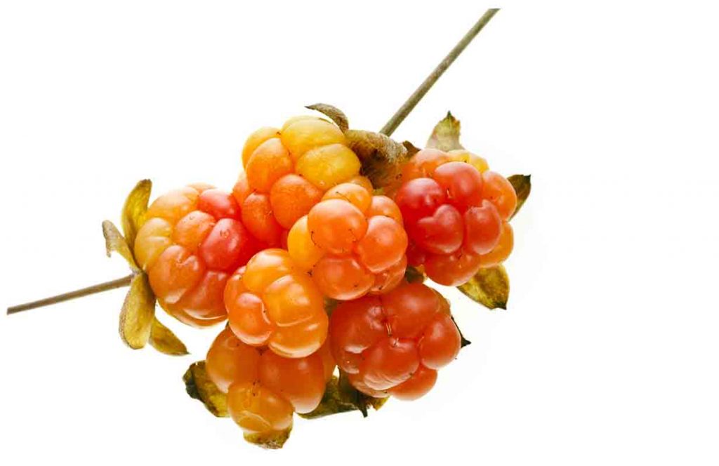 Picture of some cloudberries.