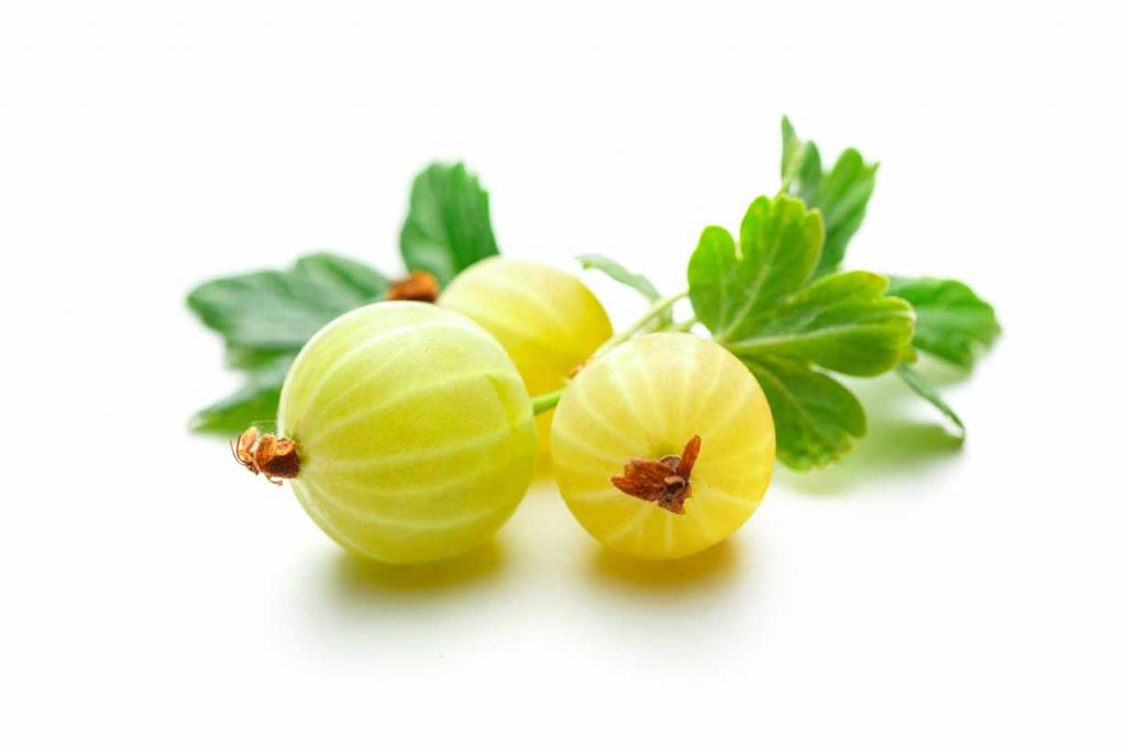 Picture of some fresh green gooseberries.