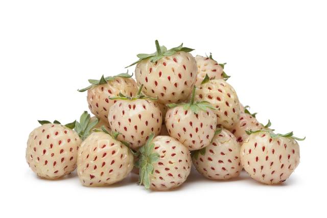 A Pile of Pineberries.