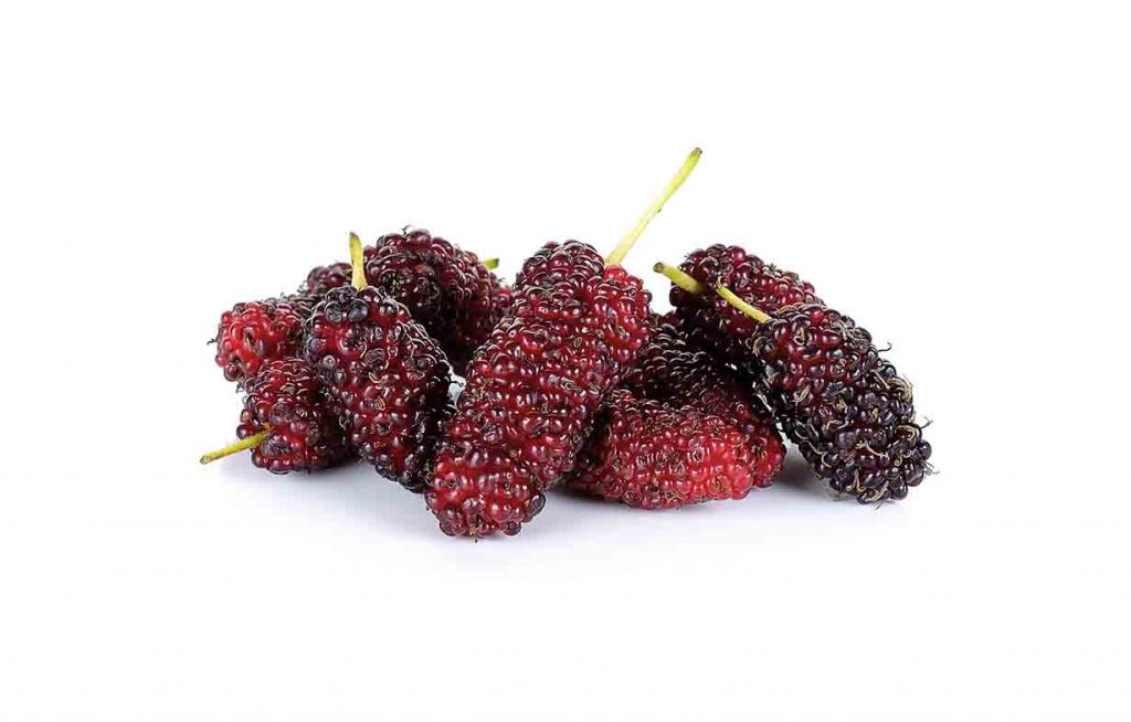 Picture showing red mulberries.