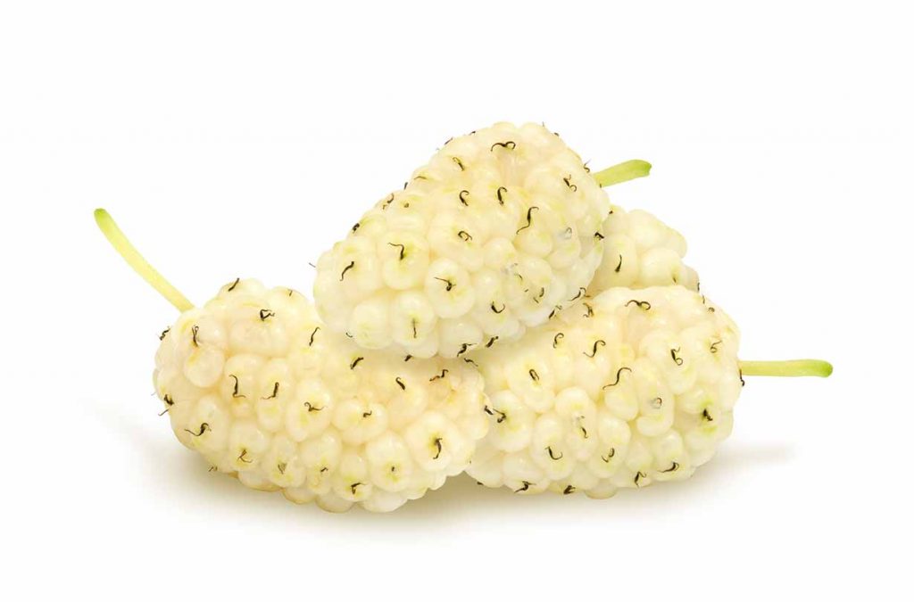 Picture of white mulberries.