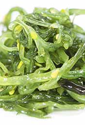 Picture of Kelp on a White Background.