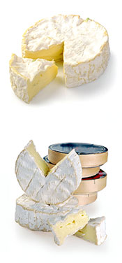 Picture of Camembert Cheese.