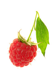 Picture of a raspberry.