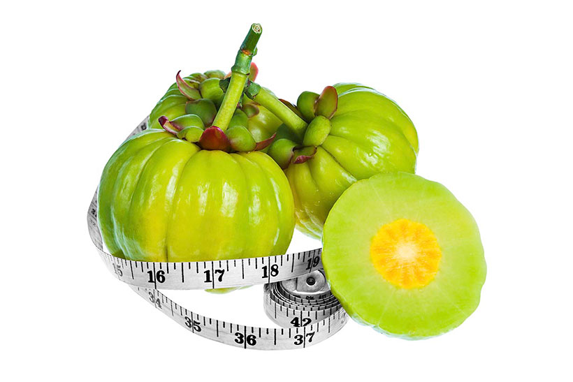 Picture of Garcinia Cambogia Fruit.