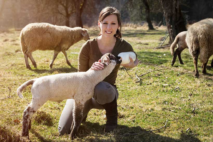 Picture of a young lady feeding a lamb in a field.