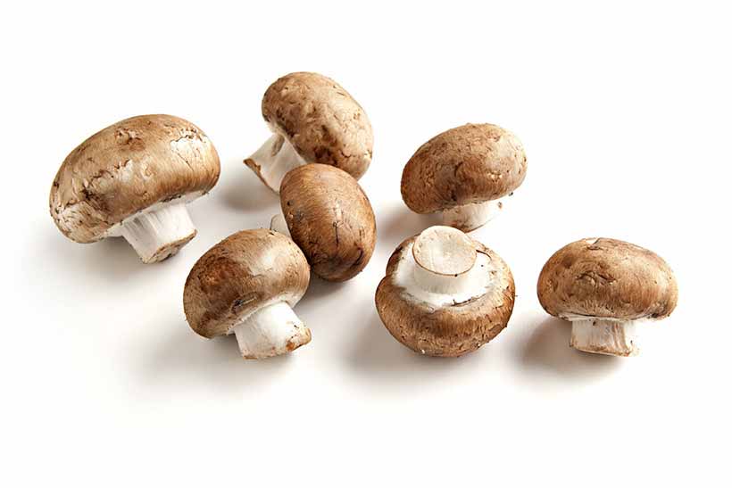 Picture of cremini mushrooms (Agaricus bisporus).