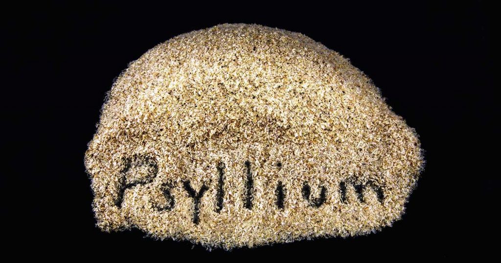 Psyllium husk on a black background - one of the most common fiber supplements.