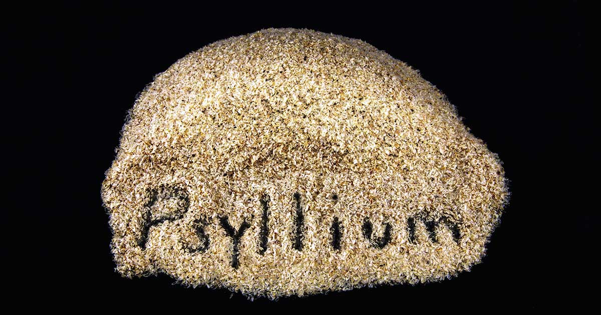 7 Common Fiber Supplements: Are They Effective? Psyllium husk on a black background - one of the most common fiber supplements.