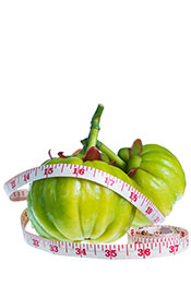 Picture of Garcinia Cambogia Fruit