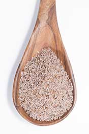 Psyllium Husk Seed Powder On a Wooden Spoon.