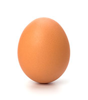 Picture of an egg.