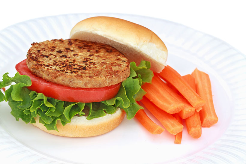 A Picture of a Processed Vegan Burger.