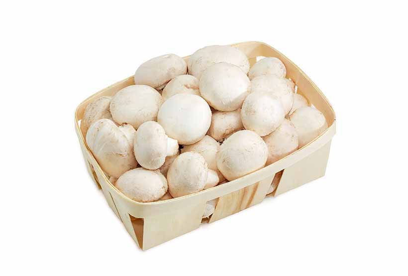 A Punnet of White Button Mushrooms.