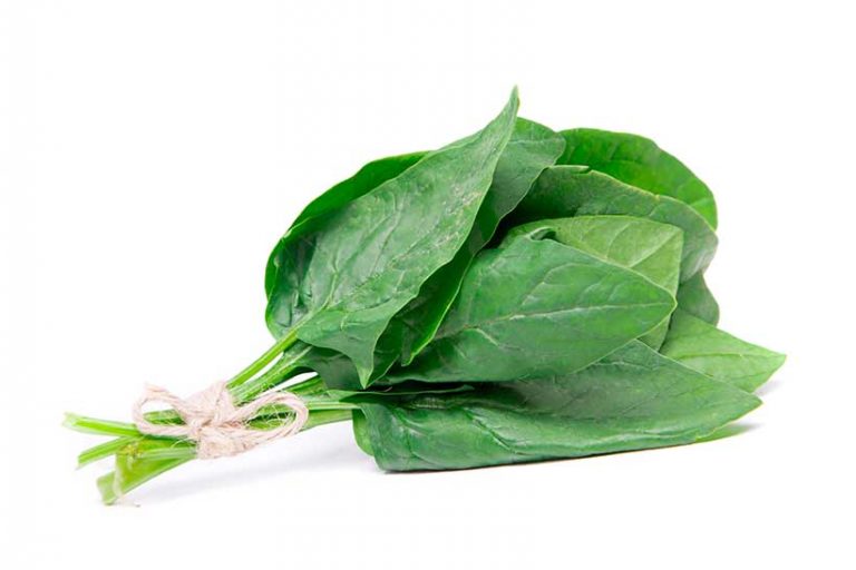 11 Nutrient Dense Sources of Healthy Carbs Nutrition Advance