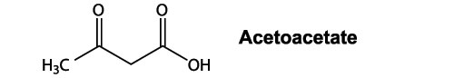 Chemical Formula For Acetoacetate - a Ketone Body.