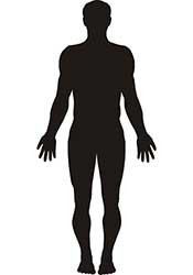 Picture of a Male Human Body's Silhouette.