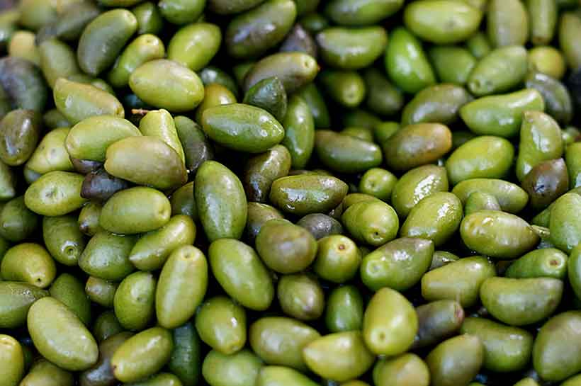 Crescent Shape Lucques Olives After Harvesting Them.