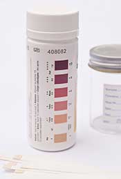 Picture of a Container of Keto Strips Bottle With Color Chart.