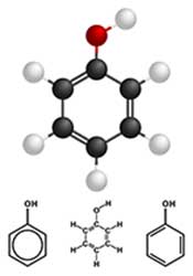 Picture Showing the Phenol Structure That Polyphenols Contain.