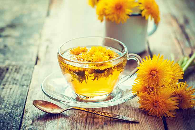 Picture of Dandelion Tea in a Glass Cup With Dandelion Flowers.