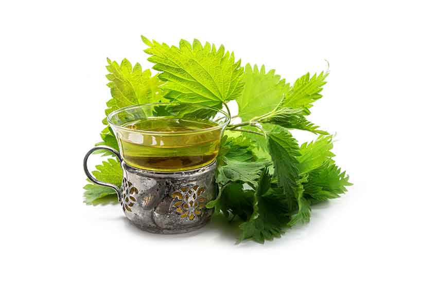 Picture of Nettle Tea Next To Nettle Leaves.