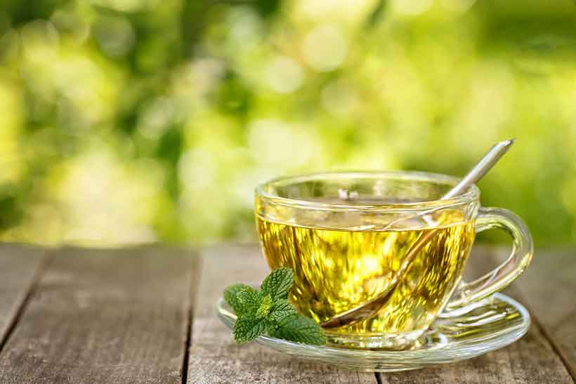 Spearmint Tea in a Glass Cup Near Nature.