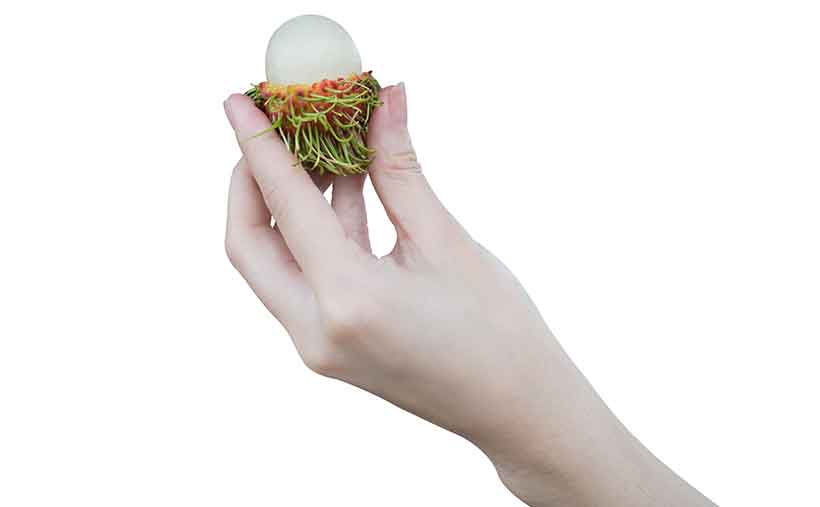 A Womans Hand Holding a Fresh Rambutan Ready To Eat.