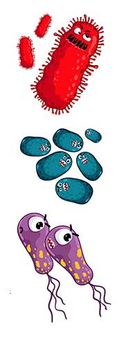 Cartoon Picture Showing Various Bacteria.