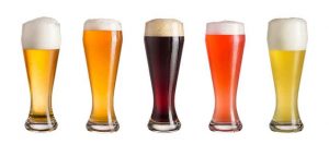 Glasses of Different Kinds of Polyphenol-Rich Craft Ales. A Variety of Different Lager Drinks.