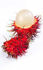 Rambutan Fruit Picture Showing the Creamy Flesh and Spiky Red Skin.