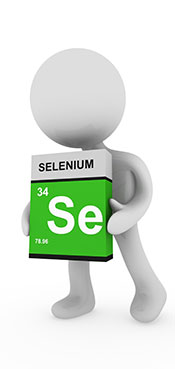 Picture of a Cartoon Man Holding a Selenium (Se) Element Sign.