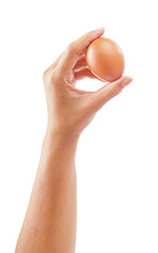 A Woman's Arm Holding An Egg In the Air.