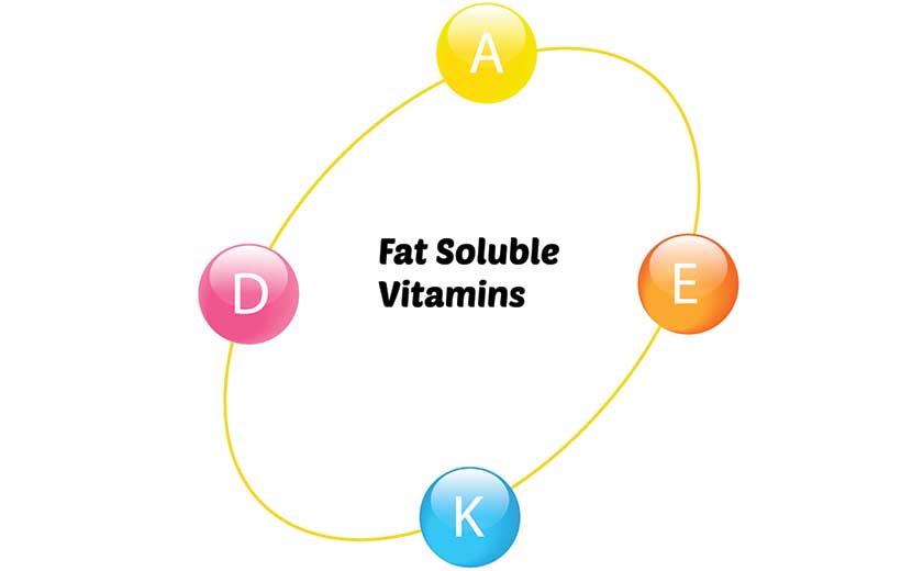 A Diagram Showing Fat Soluble Vitamins A, D, E and K.