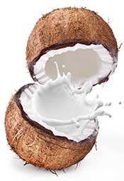 A Whole Coconut Split Into Two With Coconut Milk Splashing Out.