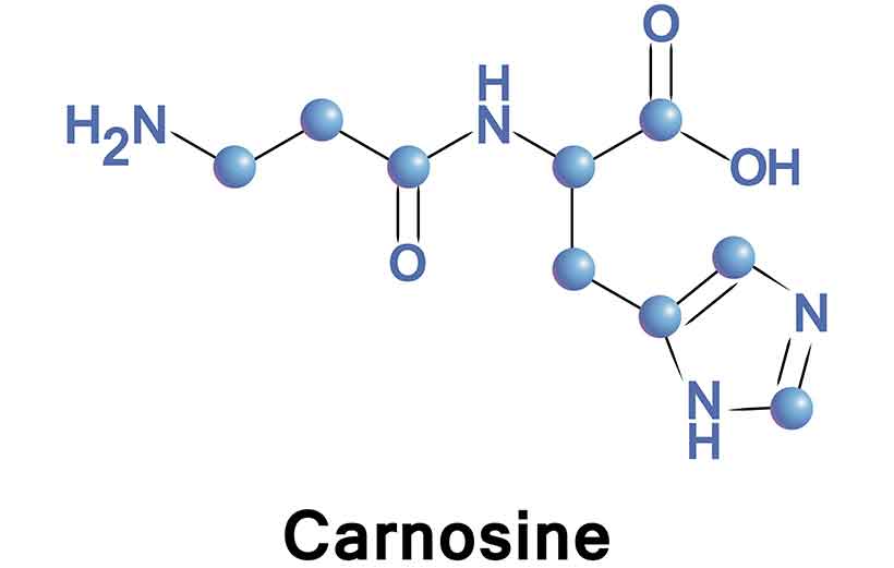 The Molecular Element For L-Carnosine.