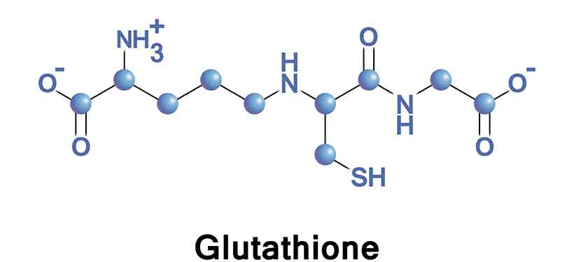 A Diagram Showing the Chemical Formula For Glutathione.