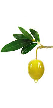 A Fresh Green Olive With Olive Oil Dripping From It.