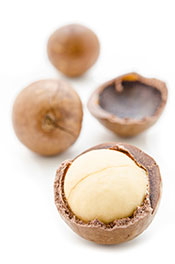 Macadamia Nuts Still In Their Tree Shells.